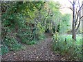 Restricted byway to Mackhouse Wood, Toadsmoor Valley