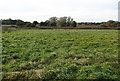 TG2931 : View towards the North Walsham & Dilham canal by Evelyn Simak