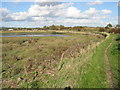 SU8303 : Looking N along footpath to Fishbourne by Nick Smith