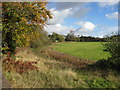 View across fields near Butterley Station