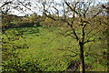 Farmland near Newton