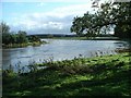 River Annan, Halleaths, in flood