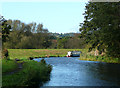 Staffordshire and Worcestershire Canal north of Kidderminster