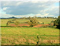 2008 : At the top of Fairy Hill near Compton Dando