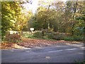 Clearing in the wood at a  minor road