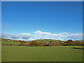 Field at Hindog Glen