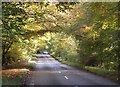 Road through woodland