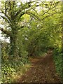 Cottles Lane, West Pennard