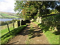 Track by Gouthwaite Reservoir