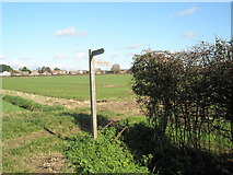 SU7605 : Footpath sign halfway between Tuppenny Lane and Garsons Road by Basher Eyre