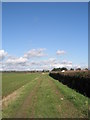 Footpath heading northwards from the A259