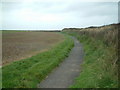 Footpath to St Ishmaels