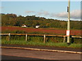 Bus stop and fields at West Clyst