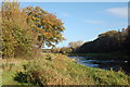 Path beside the River Don