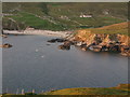 G5488 : Gannets over Port Bay by Owen Doody