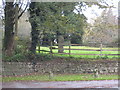 Ancient cross in the grounds of Tretheague House