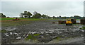 Turf production at Sandhole Farm