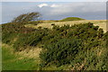 Round barrows on Nine Barrow Down