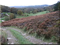 Glossop golf course