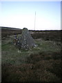 Standing Stone