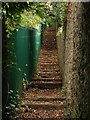 Steps to Worlebury Hill