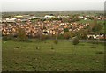 Housing estate, Glastonbury