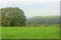 2008 : Pasture near Bowcott Farm