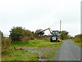 Pheasant and verge trimmer, Gelli Fawr Road