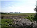 Across the muddy field