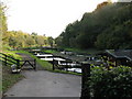 Watercress Beds