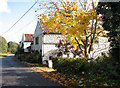 Cottages on Swanton Hill