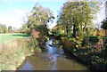 River Medway, Penshurst.