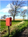 Shiny red postbox