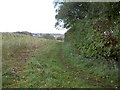 Footpath to Clatterbridge Hospital