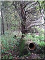 Sections of disused piping