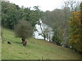 River Wye west of Hay