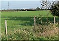 View towards the turkey farm