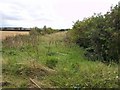 Louth to Mablethorpe railway trackbed