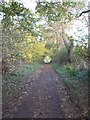 Path leading to footbridge over Lambden Burn