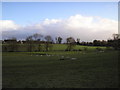 Looking towards Lambden burn