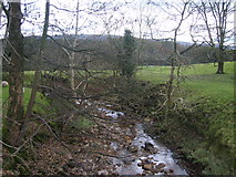 SD5655 : River Grizedale by Michael Graham