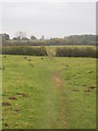 SP2617 : Footpath across the fields at Milton Under Wychwood by Rod Allday