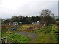 Grange Moor allotments