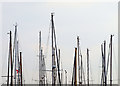 TA0928 : Many Masts at Hull Marina by Andy Beecroft