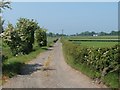 View from sharp bend in the road