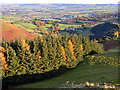 Looking down on Laight Wood from Craignee