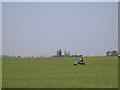 Kite buggy on Rougham Airfield