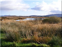 G7393 : Lough Leahan from minor road, Tullycleave More Townland by Mac McCarron