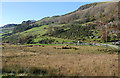 Hillside near Nant-y-gwyrddail