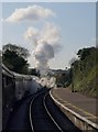 Steam train leaving Churston